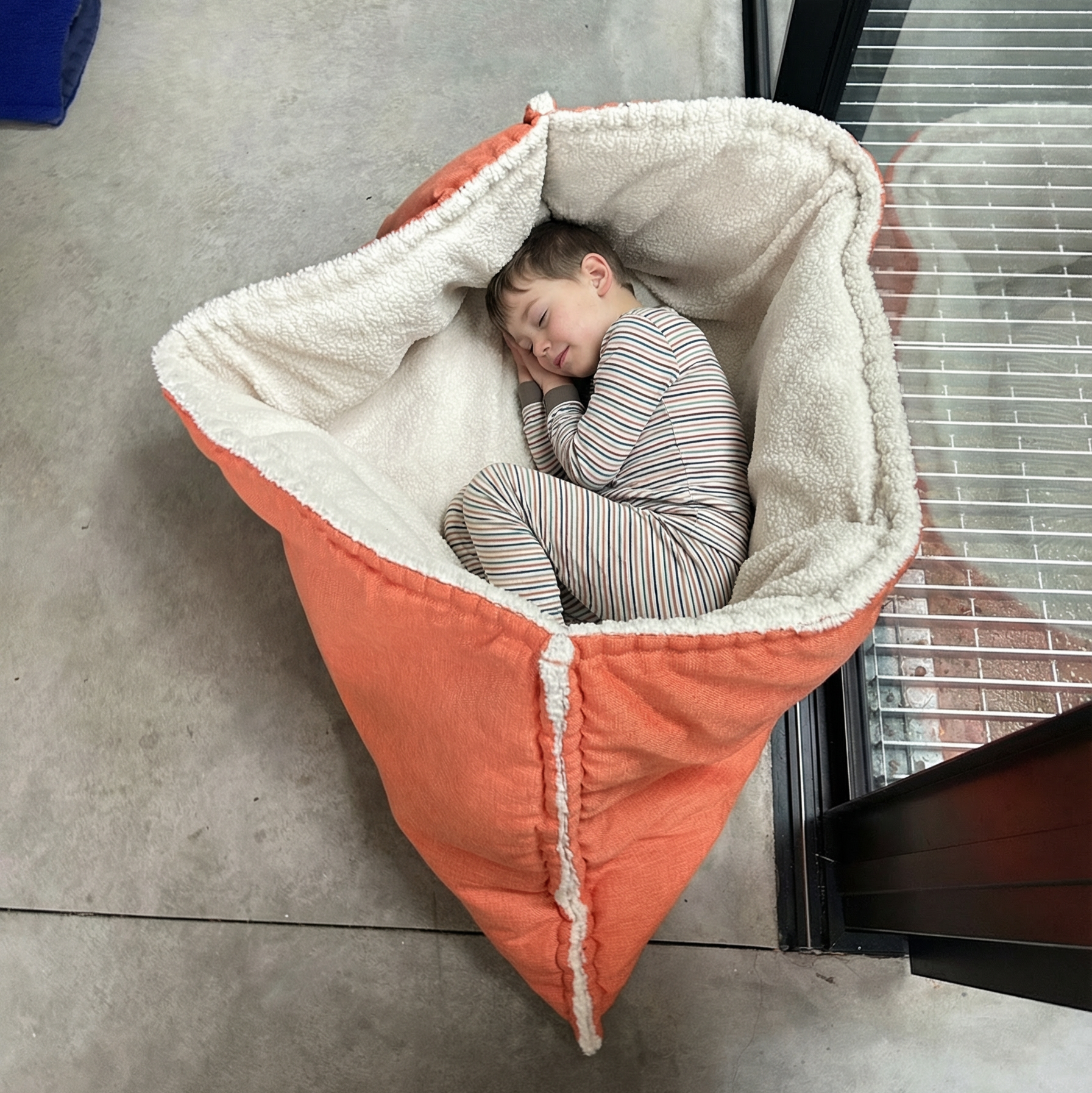 The Original Koala Nest